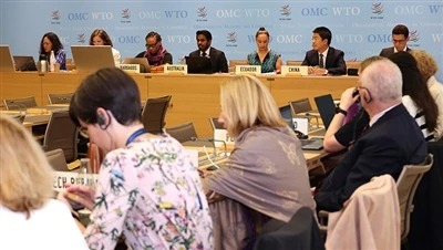 WTO dokona przeglądu ulg podatkowych USA na mocy ustawy o redukcji inflacji w...